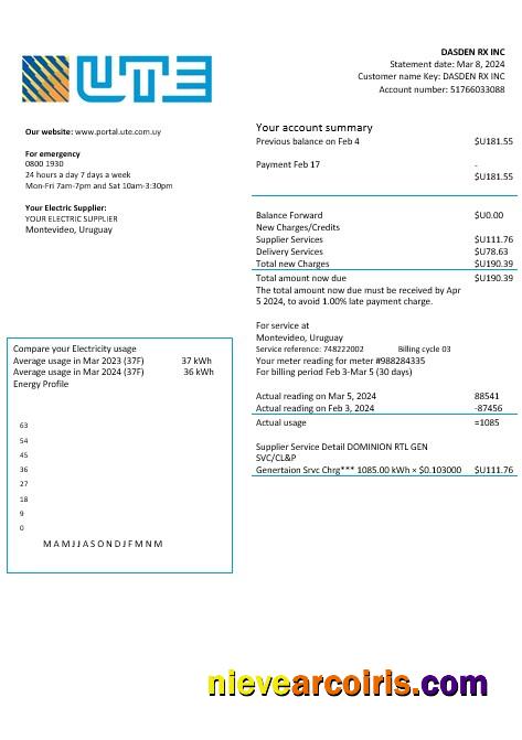 Uruguay UTE Company electricity business utility bill